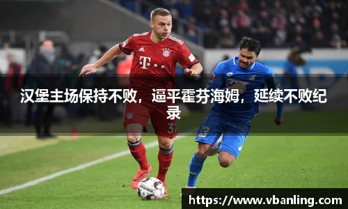汉堡主场保持不败，逼平霍芬海姆，延续不败纪录