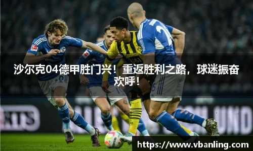 沙尔克04德甲胜门兴！重返胜利之路，球迷振奋欢呼！