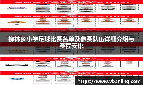 柳林乡小学足球比赛名单及参赛队伍详细介绍与赛程安排