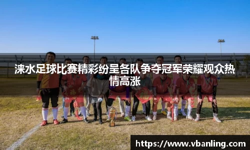 涞水足球比赛精彩纷呈各队争夺冠军荣耀观众热情高涨