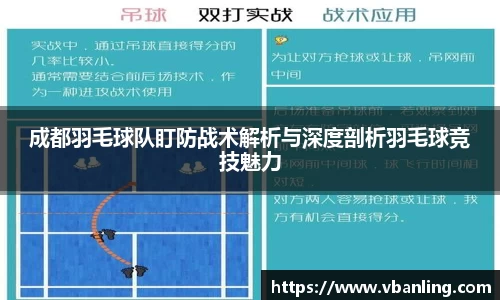 成都羽毛球队盯防战术解析与深度剖析羽毛球竞技魅力