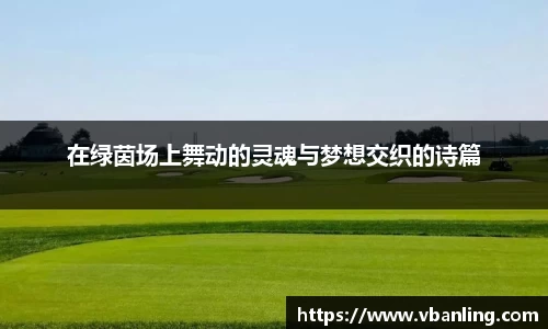 在绿茵场上舞动的灵魂与梦想交织的诗篇
